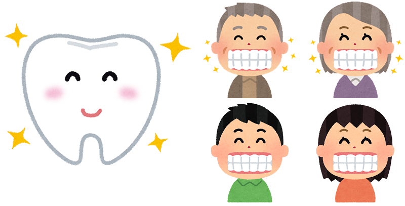 1本の歯の価値はご存じですか？